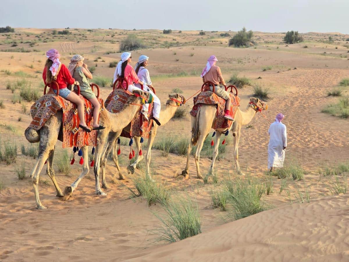 Escursioni nel deserto di Dubai